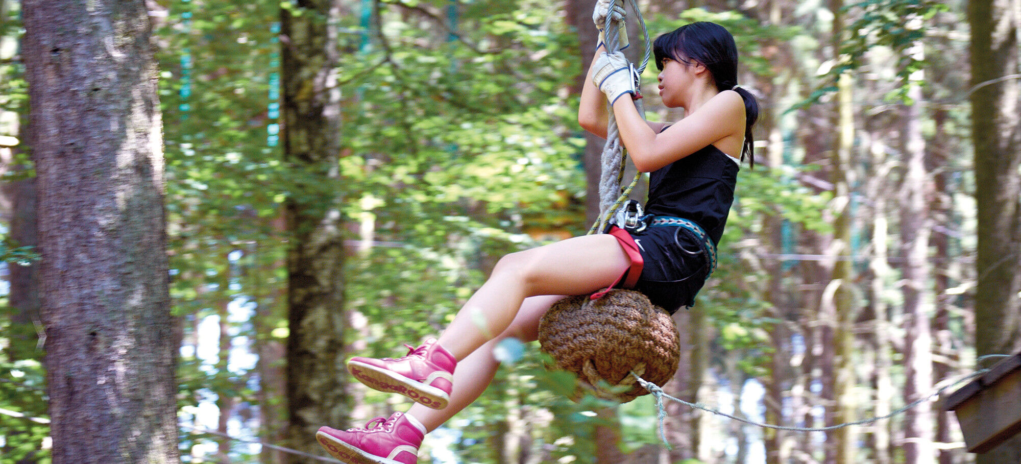 Talsperre Kriebstein &ndash; Abenteuerprogramm