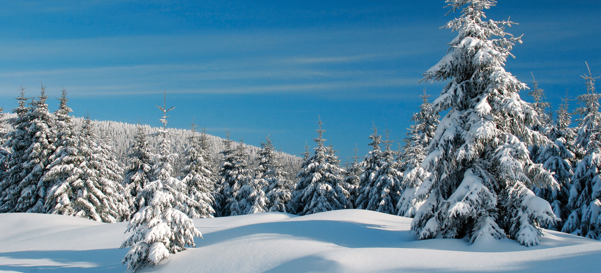 Stecklenberg (Harz) &ndash; Winterfahrt mit Schneegarantie